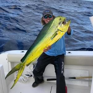 Meet your Posher, Tanner